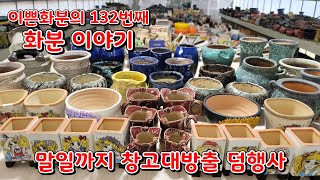 7월 29일 이쁜화분 132번째 화분이야기 [여름 덤행사 4일차]