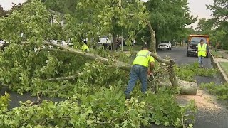 Thunderstorms topple trees on Long Island