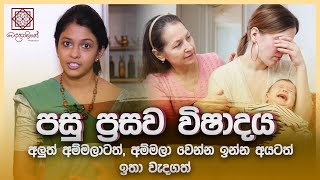 පසු ප්‍රසව විෂාදය - Postpartum Depression | අලුත් අම්මලාටත් අම්මලා වෙන්න ඉන්න අයටත් ඉතා වැදගත්