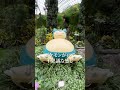 植物園広すぎて回るのに2時間半もかかった。笑　 ニート 世界旅 海外移住 シンガポール マリーナベイサンズ ガーデンズバイザベイ