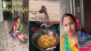 ଦେଢ଼ ବାର୍ଷିଆ ଛୁଆ ଏକଲା ଗାଧି,ତରଭୁଜ ଲାଗି ମାହା ଟେନସନ,ମୁନଗା ବେସର ପଖାଳ ଭାତ @tripathyfamilyvlog