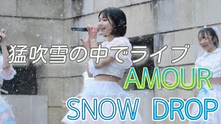 【猛吹雪の中でアイドル新曲披露】 SNOW DROP  AMOUR アムール 鶴舞公園野外ライブ 名古屋アイドル