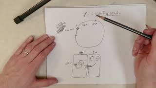 Genetics: L11-E, Hfr-Mediated Recombination (Recommend 1.5x Speed)