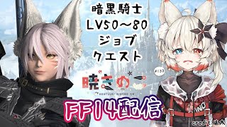 【FF14 #22】いよいよ暗黒騎士(Dark Knight)のlv50~80ジョブクエストをクリアする時が来た！「暁きのこ Akatsuki Kinoko」