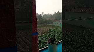 🤣என்னாது இது ஒரே பனி மூட்டமா இருக்கு 😂🌧️#camedy #viral #shortsvideo