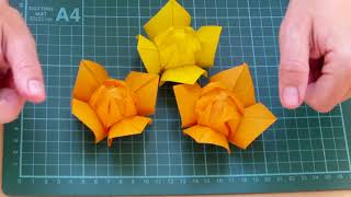 Simple Origami Lotus Flower