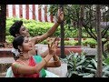 Aayana Dance Company - Navratri Series - Shailaputri