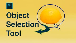 Photoshop Object Selection Tool Tutorial 2023 | Lesson 6