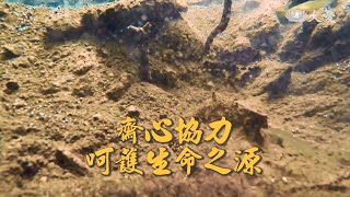 【生活地球村】 齊心協力呵護生命之源 20241117