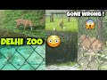 First Time Itni Pass Se TIGER Ko Dekha 😱 | Delhi Zoo | चिड़ियाघर | GONE WRONG 😧