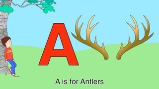 Best ABC Alphabet Song (A is for Antlers-Zee)