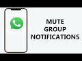 How To Mute WhatsApp Group Notifications
