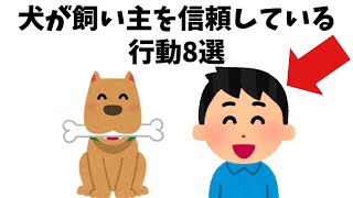 犬が飼い主を信頼している行動8選