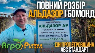 ЧАС ОБИРАТИ НАСІННЯ! ДНІПРОПЕТРОВЩИНА: АЛЬДАЗОР|БОМОНД ПОВНИЙ ОГЛЯД. \