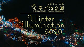 心字が池公園・冬のイルミネーション～冬夜と水面を彩る幻想的な電飾の森～Winter Illumination 2020（熊本県玉名市岱明町浜田）