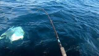 EXTREME FISHING!!! AWESOME FISH SEA FISH...