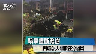 轎車撞斷路樹 四輪朝天翻覆在分隔島