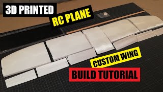 ECLIPSON MODEL A | 3D PRINTED RC PLANE | BUILD PART 2 | CUSTOM WING