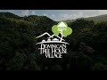 dominican tree house village. disconnect from the day to day