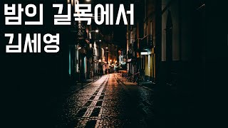 [노래방에서 부르는 남자들의 락발라드] 밤의 길목에서 - 김세영 (1997, 가사포함)