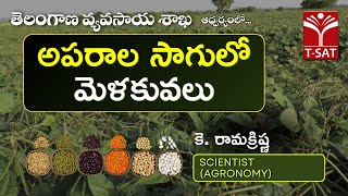 అపరాల సాగులో మెళకువలు | తెలంగాణ వ్యవసాయ శాఖ | కె. రామక్రిష్ణ, Scientist (Agronomy) | T-SAT Agri