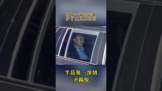 尹錫悅，衝冠一怒為紅顏，不愛江山愛美人#尹錫悅 #韓國總統