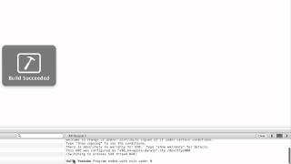 Xcode 4 printf