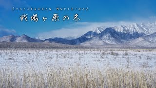 [Japan Travel Vlog] A Day Hiking in the Winter Wonderland of Senjogahara Marshland, Oku-Nikko.