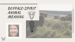 Buffalo Spirit Animal meaning, buffalo is a sacred spirit animal.