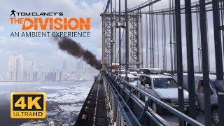 The Division - An Ambient Experience - 4K