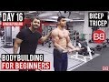 | Day 16 | Bicep & Tricep Workout Routine for Beginners! (Hindi / Punjabi) | Day 16 | Bicep & Tricep Workout Routine for Beginners! (Hindi / Punjabi)