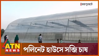 জয়পুরহাটে জনপ্রিয় হচ্ছে পলিনেট হাউসে সব্জি চাষ | ATN News