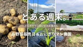 農家さんのお野菜販売日＆おにぎりマン農園作業日🥬安全で美味しいお野菜を栽培中！おにぎりマンのいるお米屋さん🍙～大阪府寝屋川市　京阪米穀～