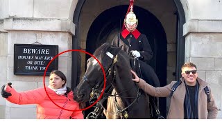 Horse Grabs Girl’s Jacket