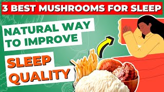 3 Best Mushrooms for Sleep: Natural Way to Improve Sleep Quality