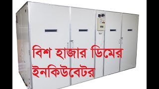 কিভাবে বিশ হাজার ডিমের ইনকিউবেটর তৈরি করবেন। বড় ইনকিউবেটর তৈরি ধারণা