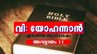 #80 | യോഹന്നാൻ 11 | മലയാളം ബൈബിൾ -യോഹന്നാൻ  എഴുതിയ സുവിശേഷം | അദ്ധ്യായം 11 | BIBLE -JOHN 11