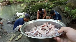 Cleaning and Cooking Process of the Poisonous Cane Toad | KukakBoys