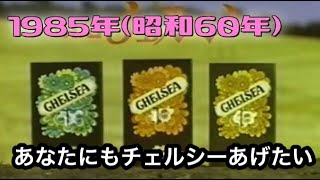 CM 菓子／1985年昭和60年／明治製菓／明治チェルシー／唄・アグネス・チャン／「あなたにもチェルシーあげたい」