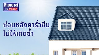 ซ่อมหลังคารั่วซึม ไม่ให้เกิดซ้ำจากปัญหาที่พบบ่อย | ตอบทุกโจทย์ แก้ทุกปัญหาสี