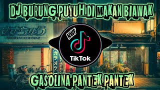 Download Lagu DJ BURUNG PUYUH DI MAKAN BIAWAK X GASOLINA X PANTE... MP3 Gratis