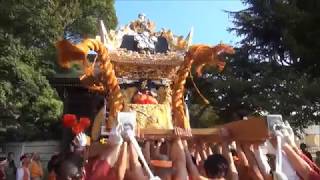 恵美酒宮天満神社本宮　栄町宮入（平成２９年１０月９日）