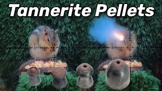 What Happens When You Put Tannerite into a Pellet. Humane or Overkill?