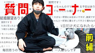 🐶【質問コーナー】ほぼ全てお答えします。前編【トイプードルのグリィ】