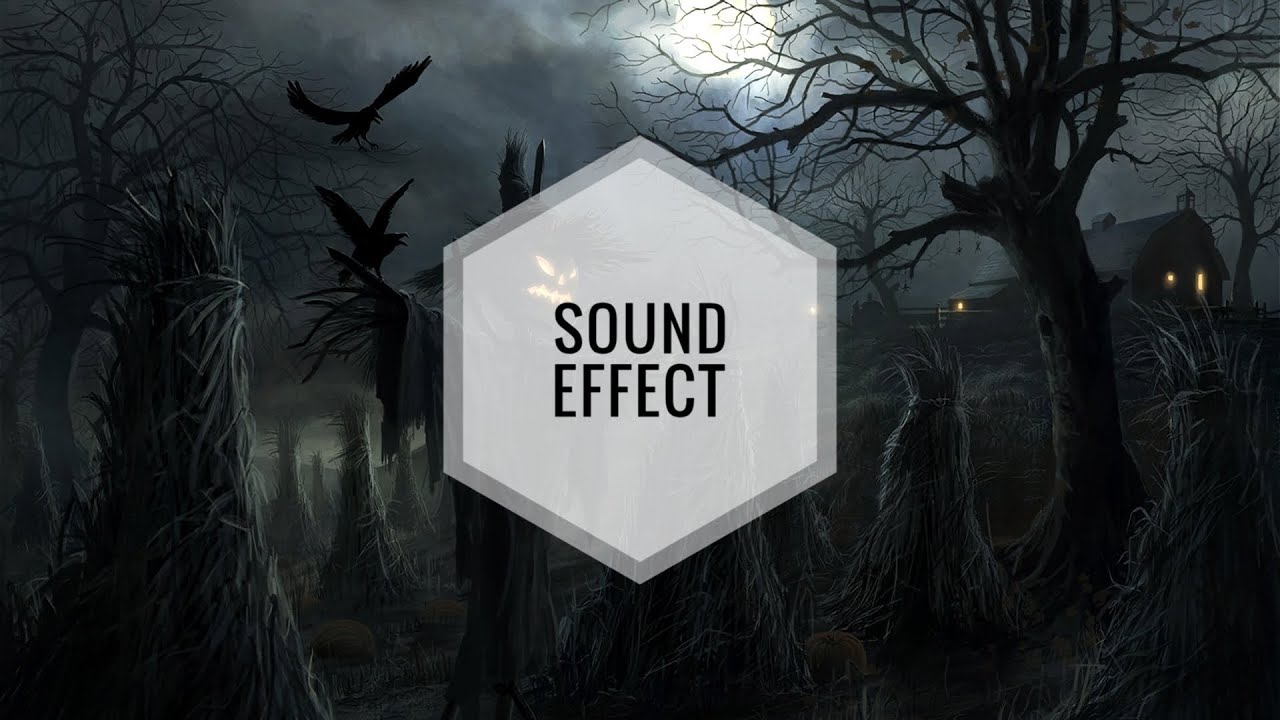 Horror - Orchestral Hit - SFX Producer ( No Copyright Sound Effects ...