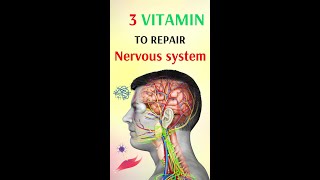 Healthy today for you: 3 vitamins to repair nervous system ▶1