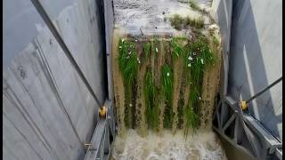 Dam Sluice Gate Opening During High-Flow Season for Controlled Release/peak inflows