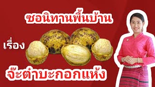 ซอนิทานพื้นบ้านเรื่อง จ๊ะต๋าบะกอกแห้ง - พรรณี แม่แตง