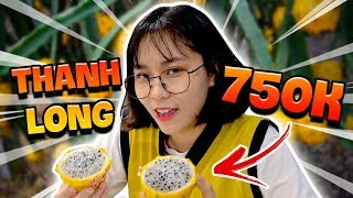 Misthy lần đầu thử Thanh long mắc nhất Việt Nam: 750.000 || WHAT THE FOOD