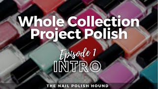 Whole Collection Project Polish - INTRO  #projectpolish #nailpolish #wholecollectionprojectpolish